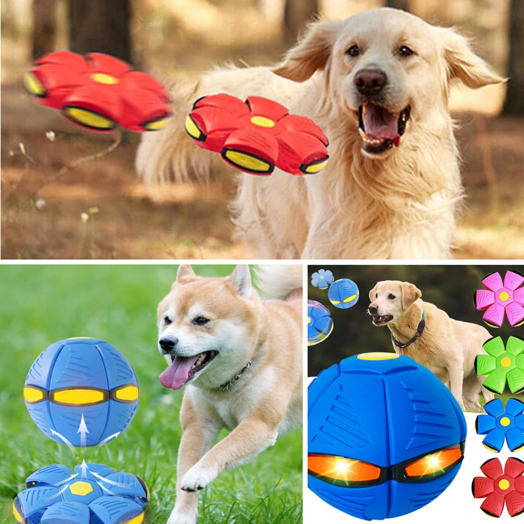 Palla Frisbee per cani FlexiFlyer