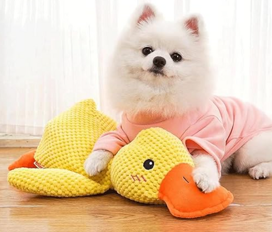 Papera Peluche per Cani QUACKBUDDY™