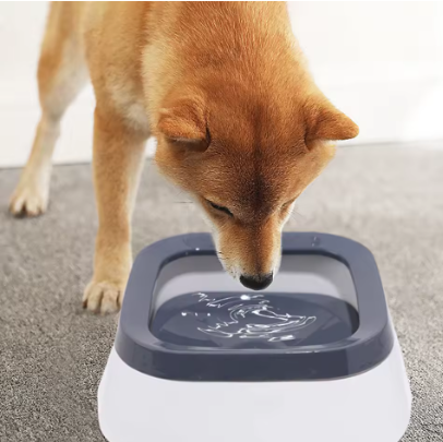 Ciotola Antischizzo per Cani e Gatti HydraPaws